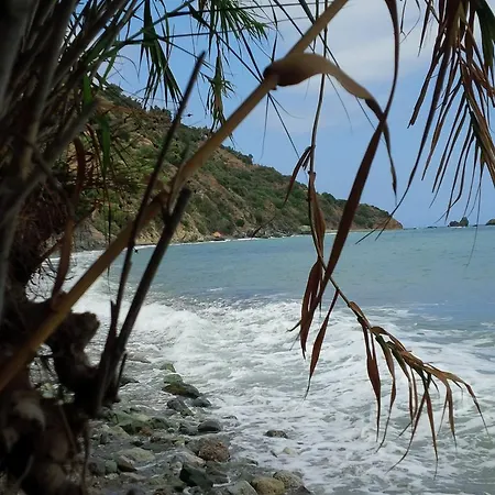 Konukevi Manoleas Tavern & To Let Leonídion